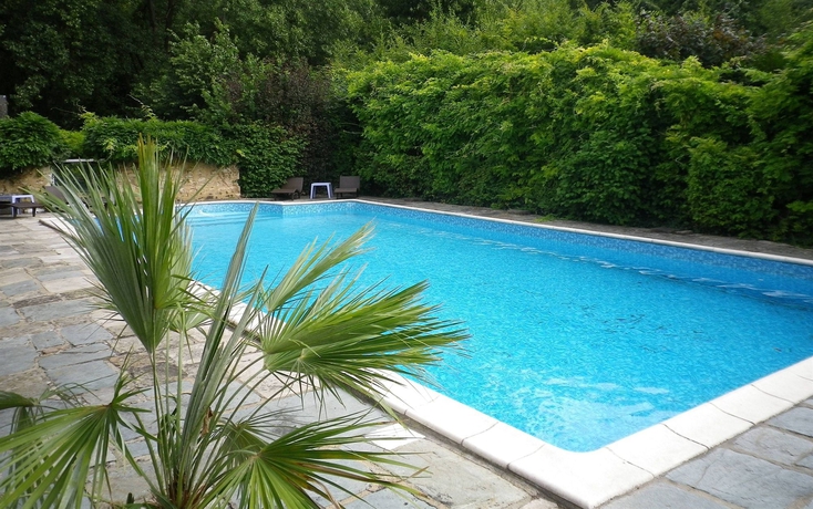 Imagen de la piscina del Hotel H&ocirc;tel-Restaurant Ricordeau. Foto 11