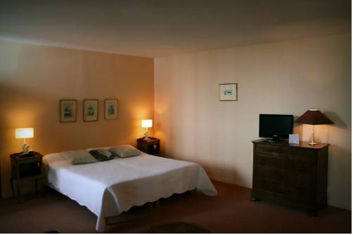 Imagen de la habitación del Hotel Hôtel-restaurant Eychenne. Foto 14