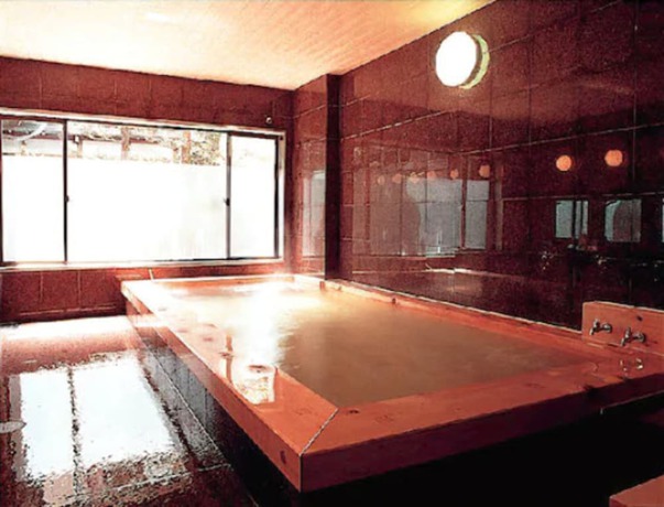 Imagen de los interiores del Hotel Hodakaso Yamanoiori. Foto 13