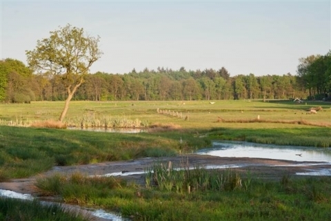 Imagen de los exteriores del Hotel Hoeve Springendal. Foto 5