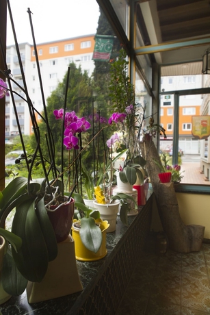 Imagen de los interiores del Hotel Hohenstauffen. Foto 11