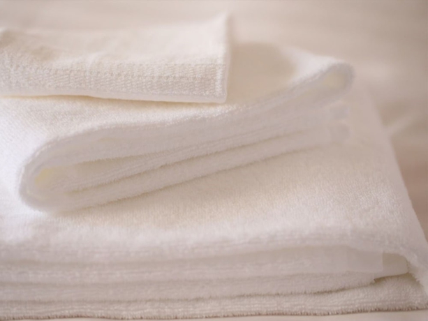 Imagen de la habitación del Hotel Hokke Club Hiroshima. Foto 10