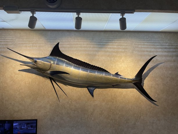 Imagen de los interiores del Hotel Hole Inn The Wall - Sunset Plaza - Fort Walton Beach. Foto 14