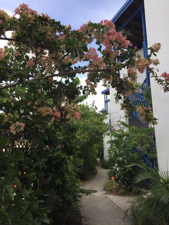 Imagen de los exteriores del Hotel Holger Danske. Foto 16