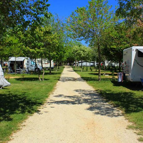 Imagen general del Hotel Holiday Centre Bi Village. Foto 16