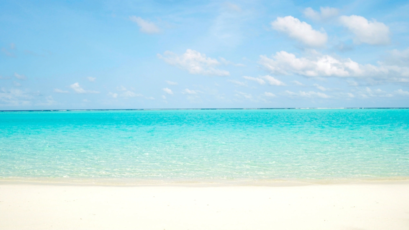 Imagen de los exteriores del Hotel Holiday Cottage. Foto 8