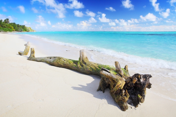 Imagen de los exteriores del Hotel Holiday Cottage. Foto 10