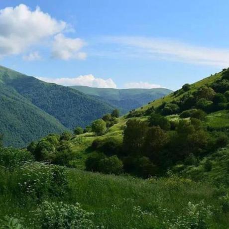 Imagen general del Hotel Holiday Dream Dilijan. Foto 4