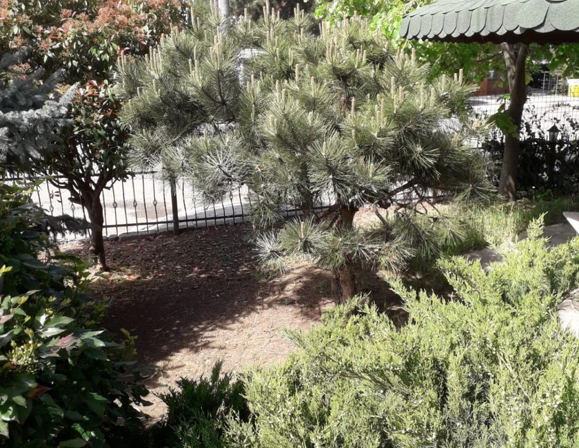 Imagen general del Hotel Holiday, EFORIE. Foto 16