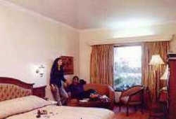 Imagen general del Hotel Holiday Inn, Agra. Foto 2