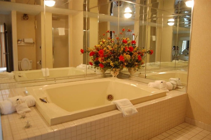 Imagen de la habitación del Hotel Holiday Inn Alexandria - Downtown, An Ihg. Foto 5