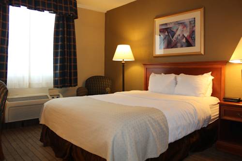 Imagen de la habitación del Hotel Holiday Inn Alexandria. Foto 2