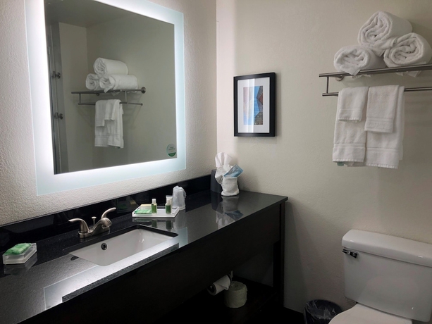 Imagen de la habitación del Hotel Holiday Inn Allentown-bethlehem, An Ihg. Foto 12