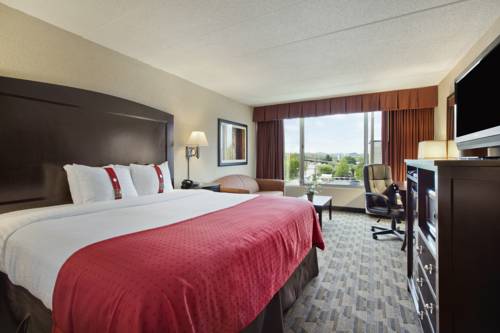 Imagen de la habitación del Hotel Holiday Inn And Suites Charleston West. Foto 4