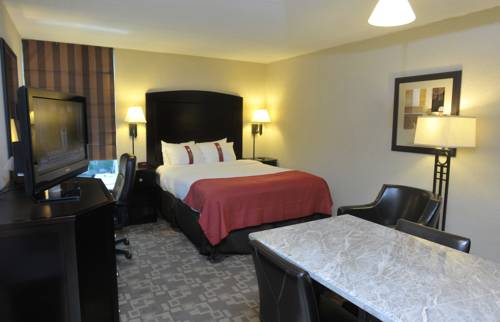 Imagen de la habitación del Hotel Holiday Inn And Suites Charleston West. Foto 7
