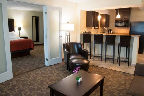 Imagen de la habitación del Hotel Holiday Inn And Suites Charleston West. Foto 9