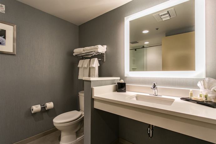 Imagen de la habitación del Hotel Holiday Inn And Suites Chattanooga Downtown, An Ihg. Foto 7
