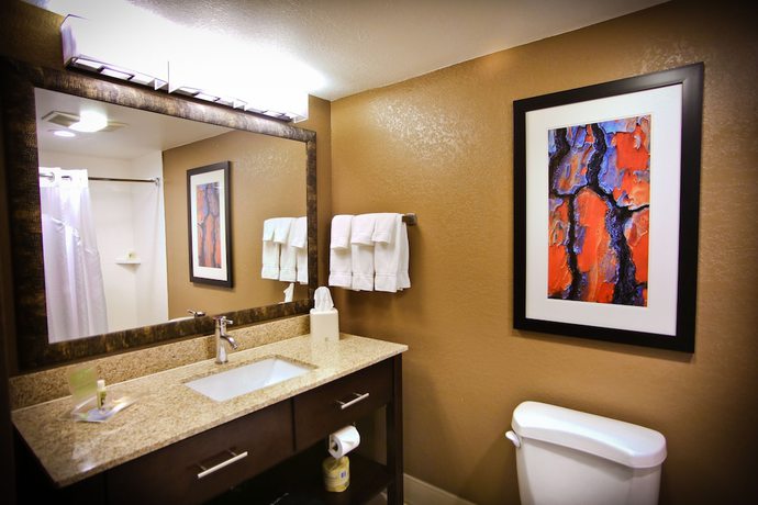 Imagen de la habitación del Hotel Holiday Inn And Suites La Crosse, An Ihg. Foto 17