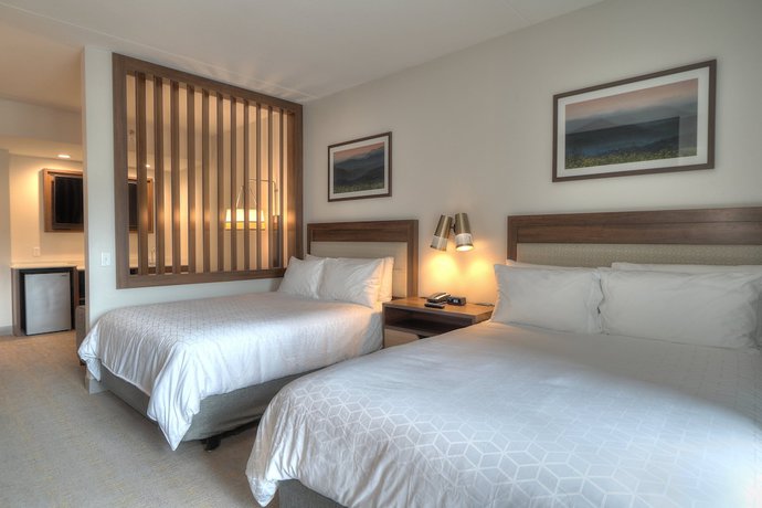 Imagen de la habitación del Hotel Holiday Inn And Suites Pigeon Forge Convention Center, An Ihg. Foto 2