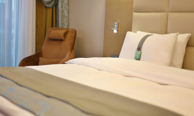 Imagen de la habitación del Hotel Holiday Inn Ankara - Cukurambar, An Ihg. Foto 9