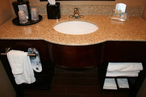 Imagen de la habitación del Hotel Holiday Inn Ardmore I-35 Convention Center. Foto 5