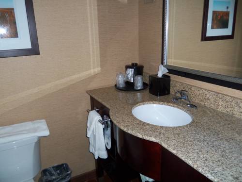 Imagen de la habitación del Hotel Holiday Inn Ardmore I-35 Convention Center. Foto 6