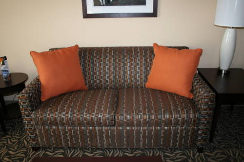 Imagen de la habitación del Hotel Holiday Inn Ardmore I-35 Convention Center. Foto 7