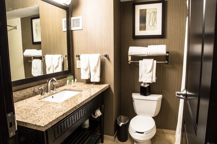 Imagen de la habitación del Hotel Holiday Inn Arlington Ne-rangers Ballpark, An Ihg. Foto 2