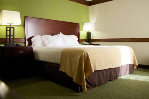 Imagen de la habitación del Hotel Holiday Inn Athens - University Area. Foto 9