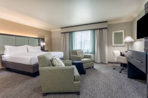 Imagen de la habitación del Hotel Holiday Inn Auburn. Foto 3