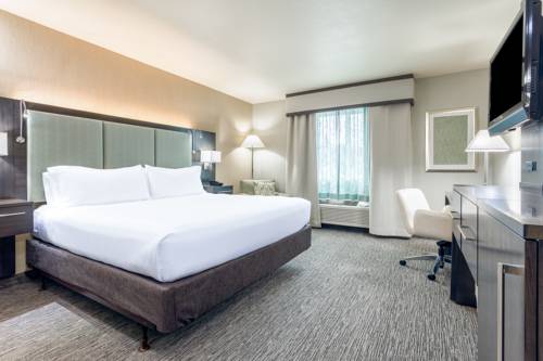 Imagen de la habitación del Hotel Holiday Inn Auburn. Foto 4