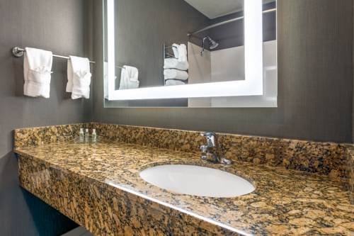 Imagen de la habitación del Hotel Holiday Inn Auburn. Foto 6