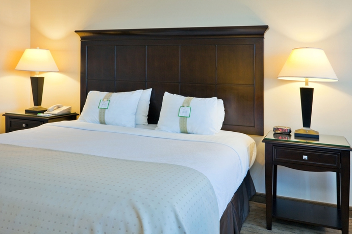 Imagen de la habitación del Hotel Holiday Inn Birmingham-airport, An Ihg. Foto 9