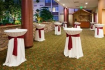 Imagen general del Hotel Holiday Inn Bloomington Arprt South Mall Area. Foto 5