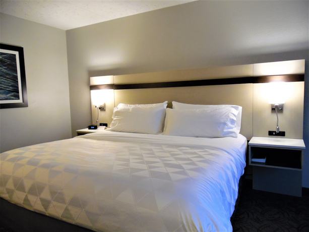 Imagen de la habitación del Hotel Holiday Inn Bloomington - Normal, An Ihg. Foto 12