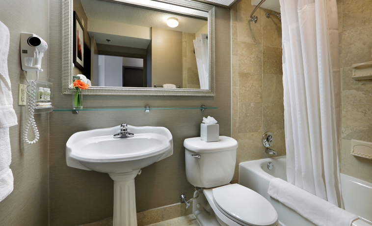 Imagen de la habitación del Hotel Holiday Inn Boston - Cambridge Area. Foto 5