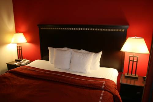 Imagen de la habitación del Hotel Holiday Inn Brownsville, An Ihg. Foto 8