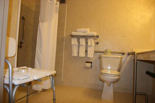 Imagen de la habitación del Hotel Holiday Inn Budd Lake - Rockaway Area. Foto 13