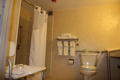 Imagen de la habitación del Hotel Holiday Inn Budd Lake - Rockaway Area. Foto 16