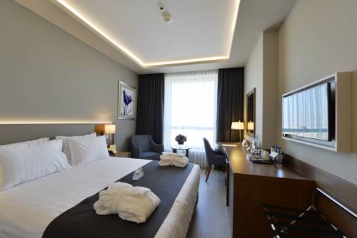 Imagen de la habitación del Hotel Holiday Inn Bursa - City Centre. Foto 1