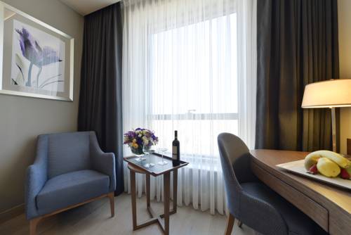 Imagen de la habitación del Hotel Holiday Inn Bursa - City Centre. Foto 2