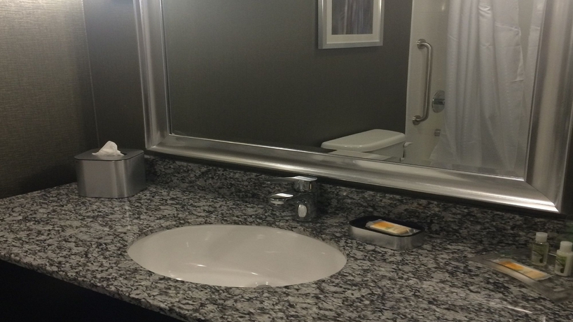 Imagen de la habitación del Hotel Holiday Inn Carlsbad, An Ihg. Foto 6