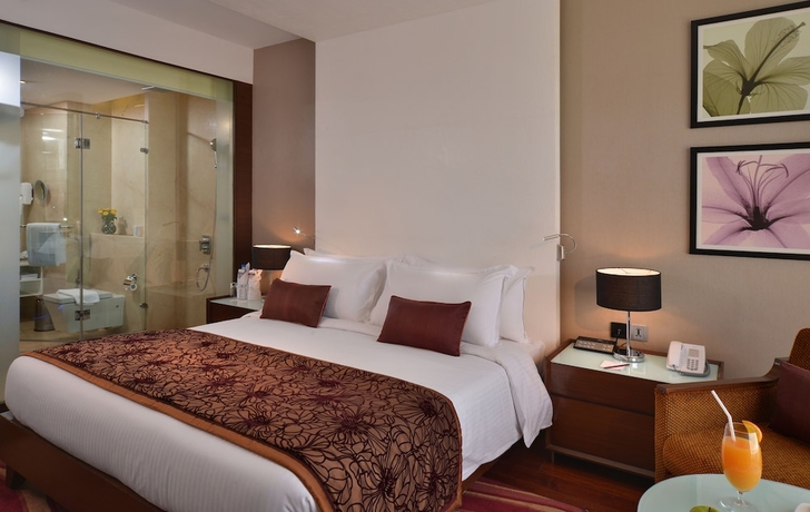 Imagen de la habitación del Hotel Holiday Inn Chandigarh Panchkula. Foto 3