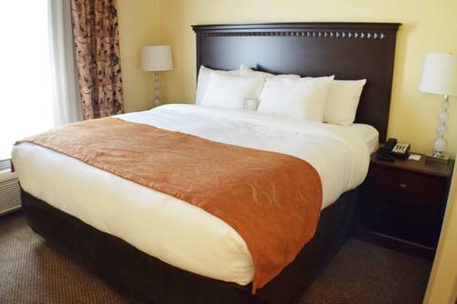 Imagen de la habitación del Hotel Holiday Inn Cheshire - Southington. Foto 3