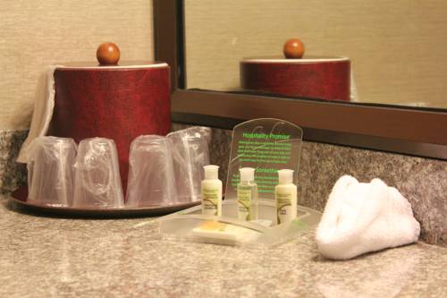 Imagen general del Hotel Holiday Inn Chicago Matteson Conf Center, An Ihg. Foto 1