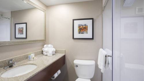 Imagen de la habitación del Hotel Holiday Inn Cincinnati-riverfront. Foto 3