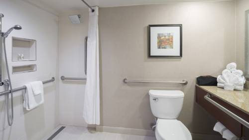 Imagen de la habitación del Hotel Holiday Inn Cincinnati-riverfront. Foto 4