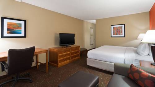 Imagen de la habitación del Hotel Holiday Inn Cincinnati-riverfront. Foto 8