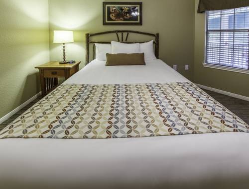 Imagen de la habitación del Hotel Holiday Inn Club Vacations Oak N' Spruce Resort. Foto 3