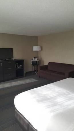 Imagen de la habitación del Hotel Holiday Inn Columbus Dwtn-capitol Square. Foto 6